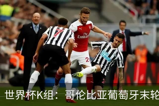 世界杯K组：哥伦比亚葡萄牙末轮交锋定头名 乌兹基本出局
