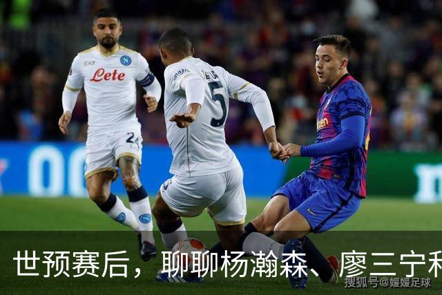 世预赛后，聊聊杨瀚森、廖三宁和高诗岩
