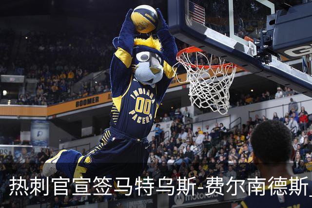 热刺官宣签马特乌斯-费尔南德斯 转会费8500万镑破纪录